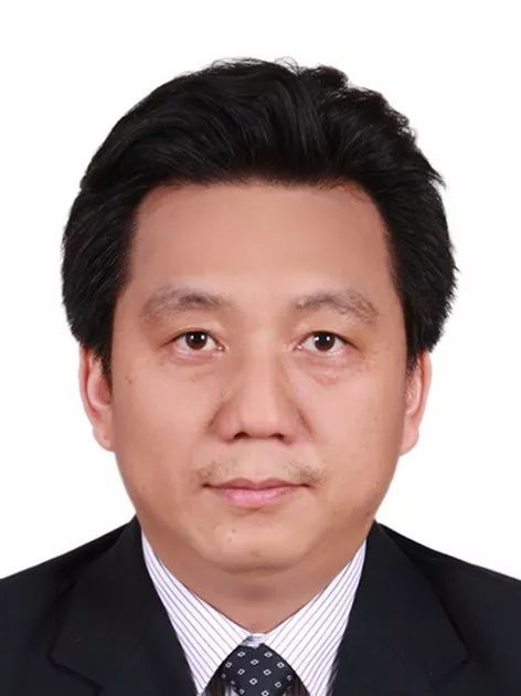 华体会网页版创新论坛第一千零五十二讲： 有机染料—功能化及稳定性强化